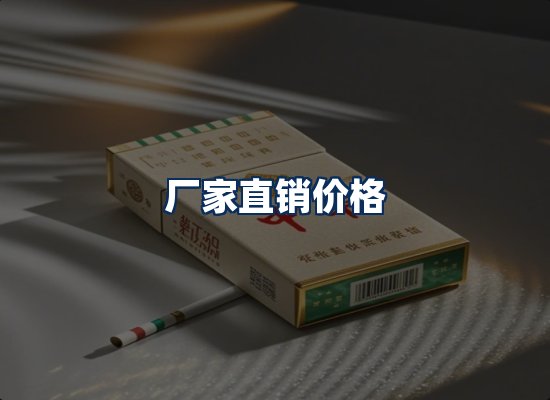 专业团队办公环境